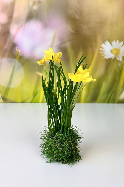 Frühlingsblüher gelb auf Grassockel