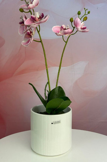 Orchideenkübel Galla 14cm creme-weiß