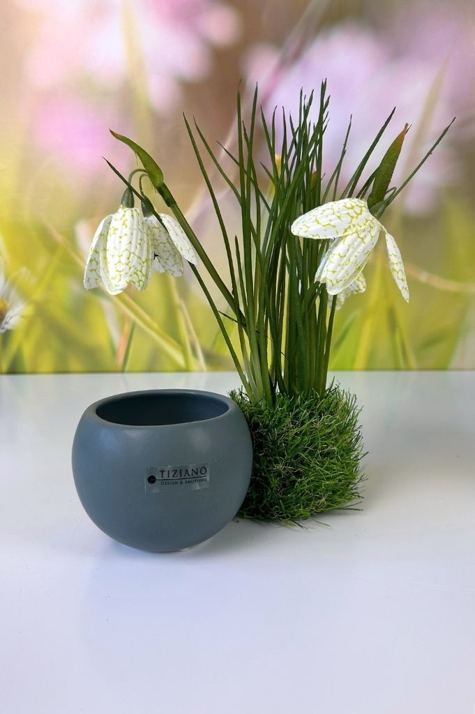 Minikübel Genua 8cm Prato