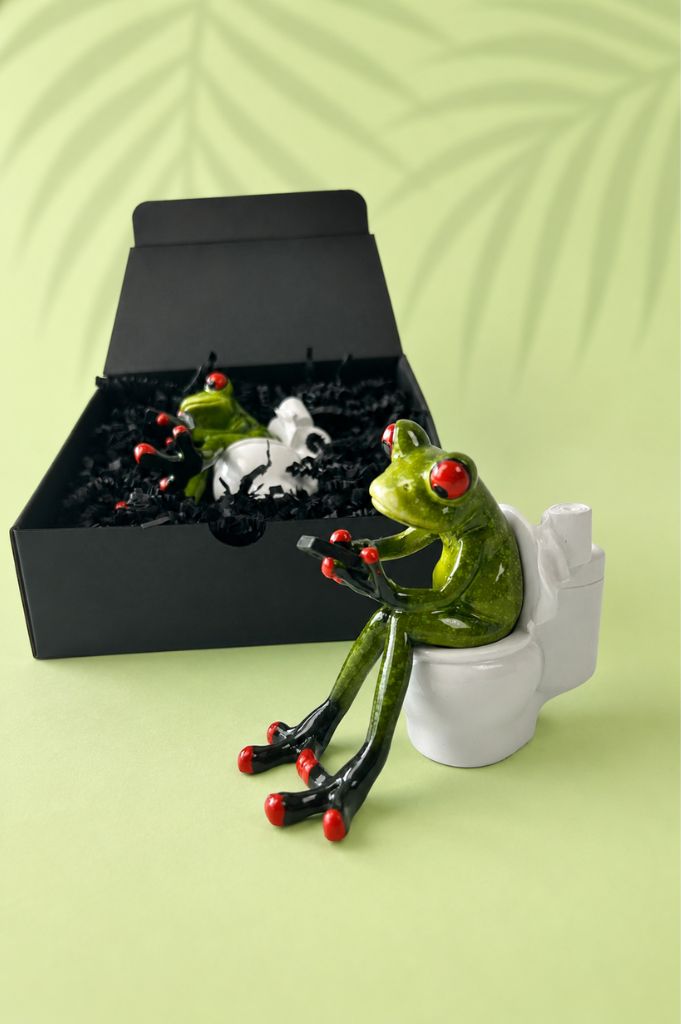 Geschenkbox Frosch Fridolin auf Toilette mit Handy