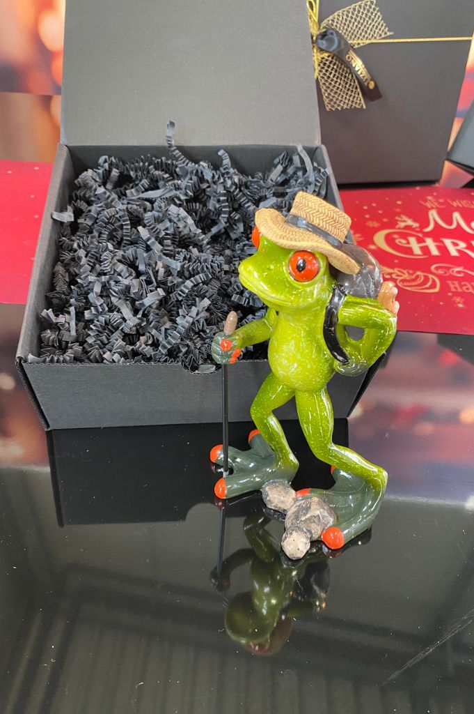Geschenkbox Frosch Fridolin Wanderer grün