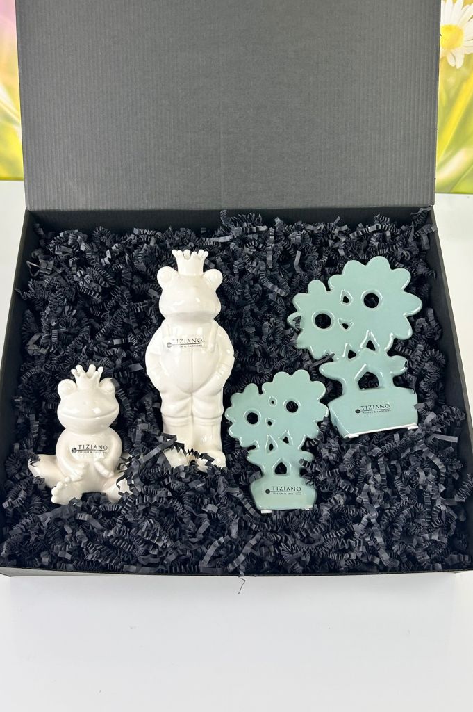 Geschenkbox L Frosch Vico+Blume Folina Prato