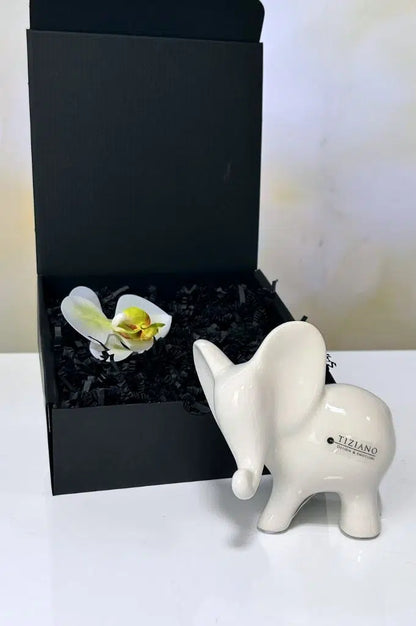 Geschenkbox Leon schauend