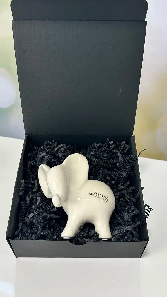 Geschenkbox Leon schauend