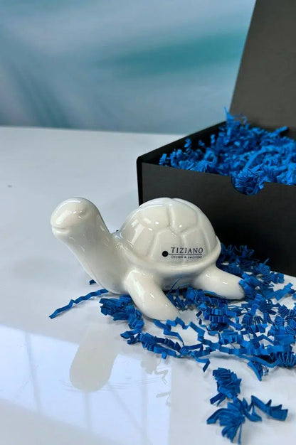 Geschenkbox Schildkröte Mattis