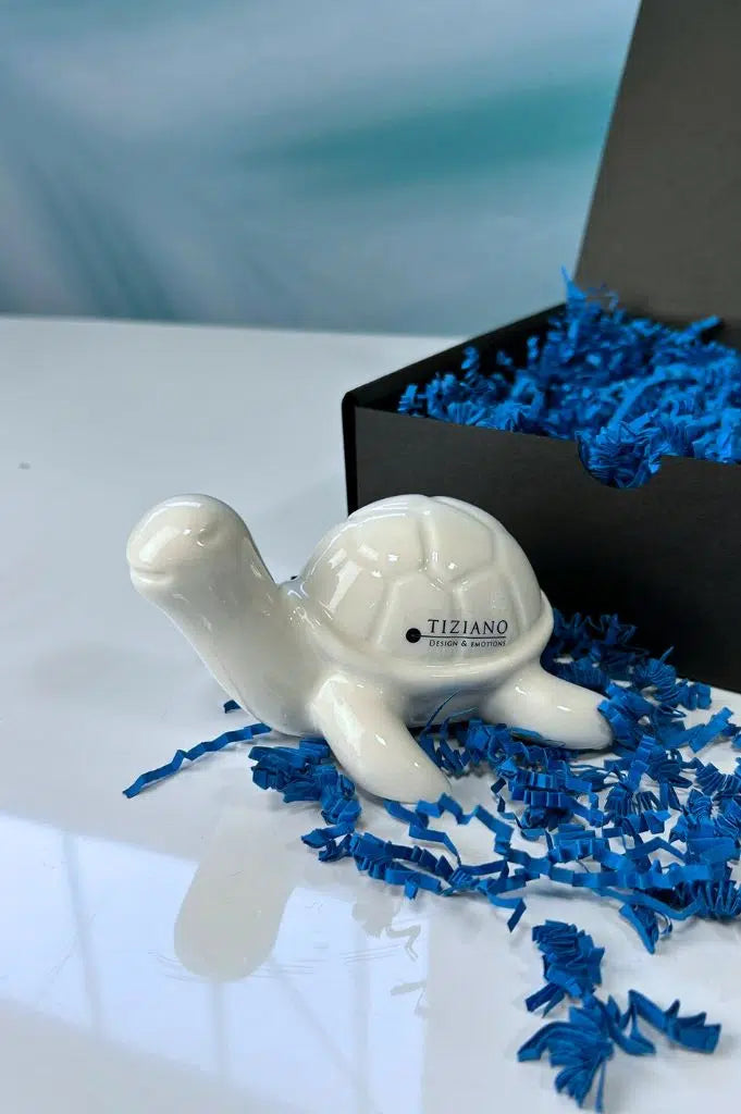 Geschenkbox Schildkröte Mattis