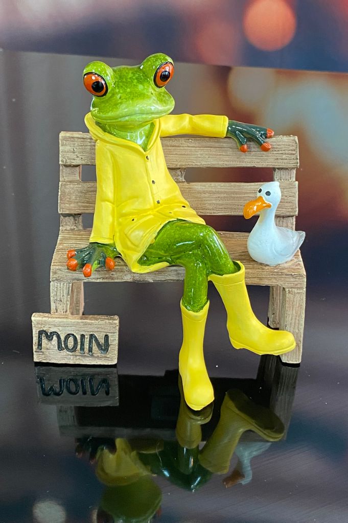 Geschenkbox Deko Frosch Fridolin Moin grün