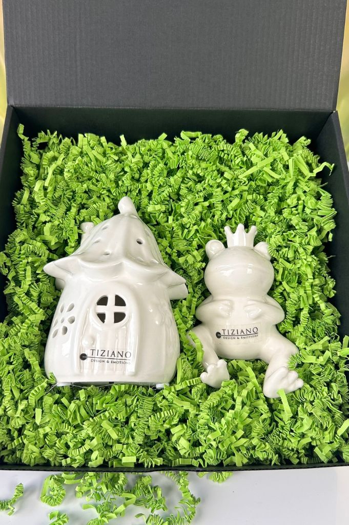 Geschenkbox M Frosch Vico liegend+Haus Solina LED