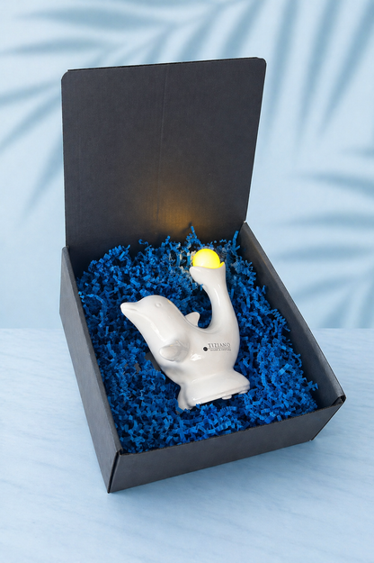 Geschenkbox Delfin Sandy LED