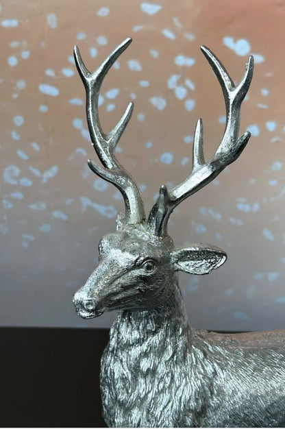 Hirsch_Heinrich_2