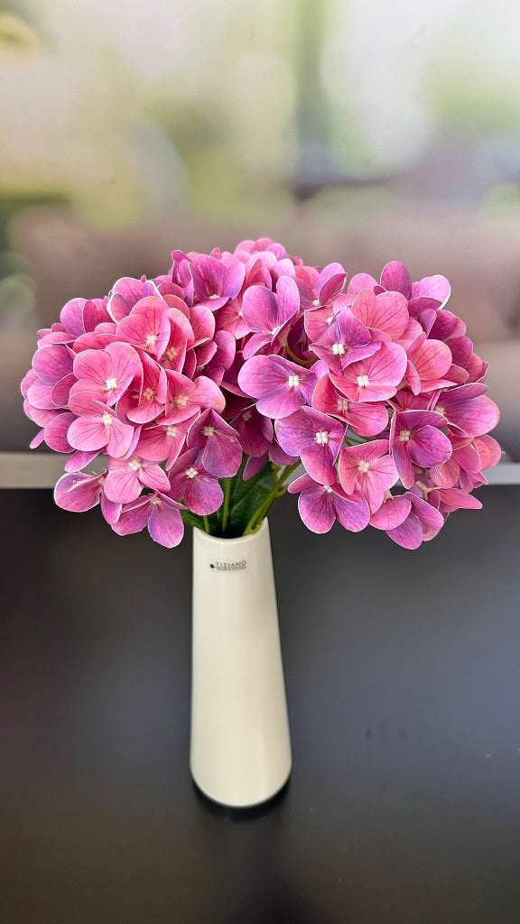 Hortensienbusch pink