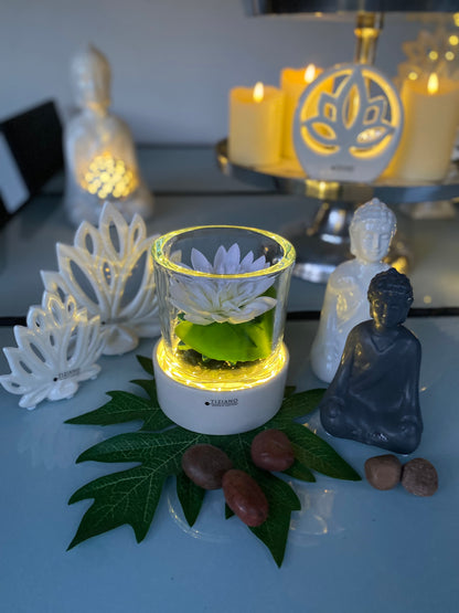 Base Castello LED 13 f.Marit