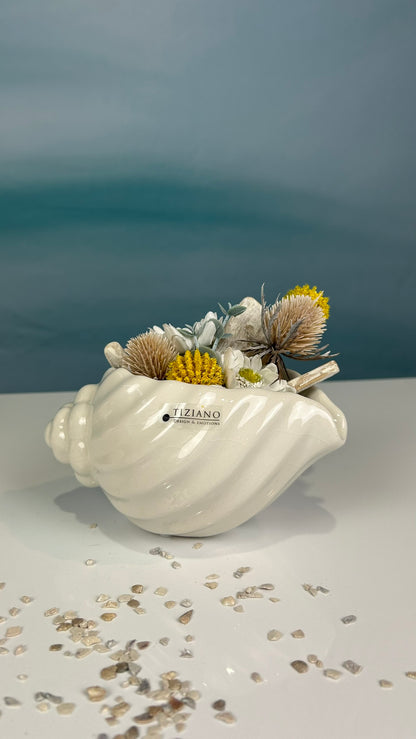Muschelschale Capella creme-weiß