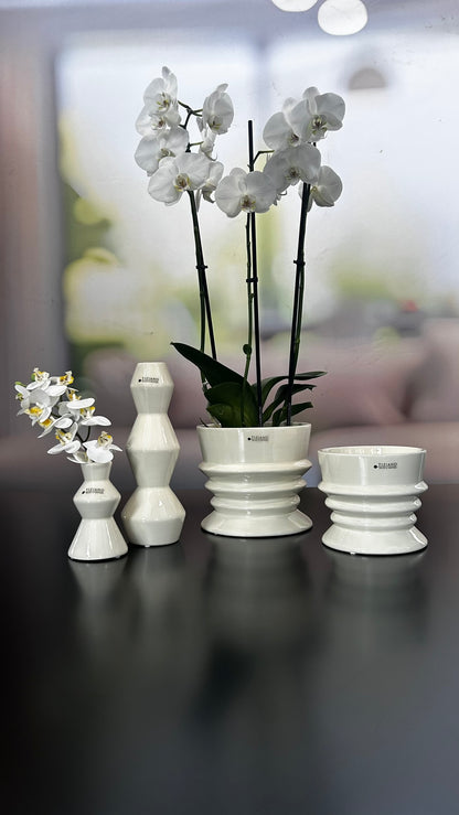 Kübel Silandro creme-weiß