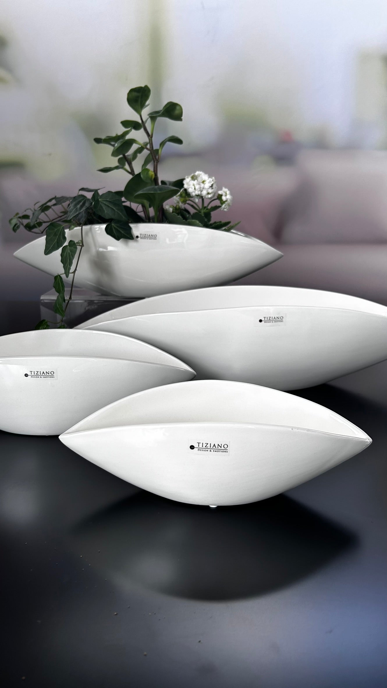 Schale Pisello creme