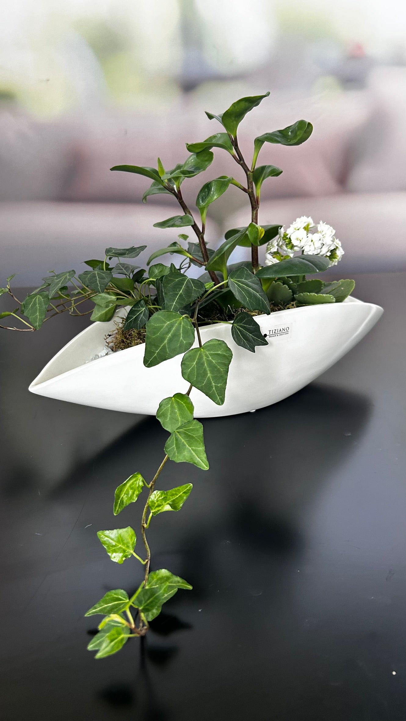 Schale Pisello creme