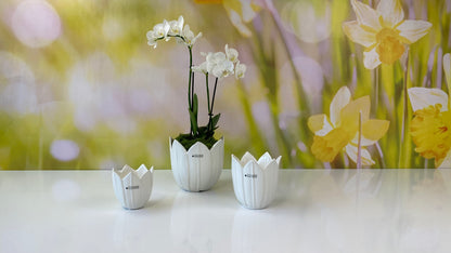 Kübel Tolina creme-weiß