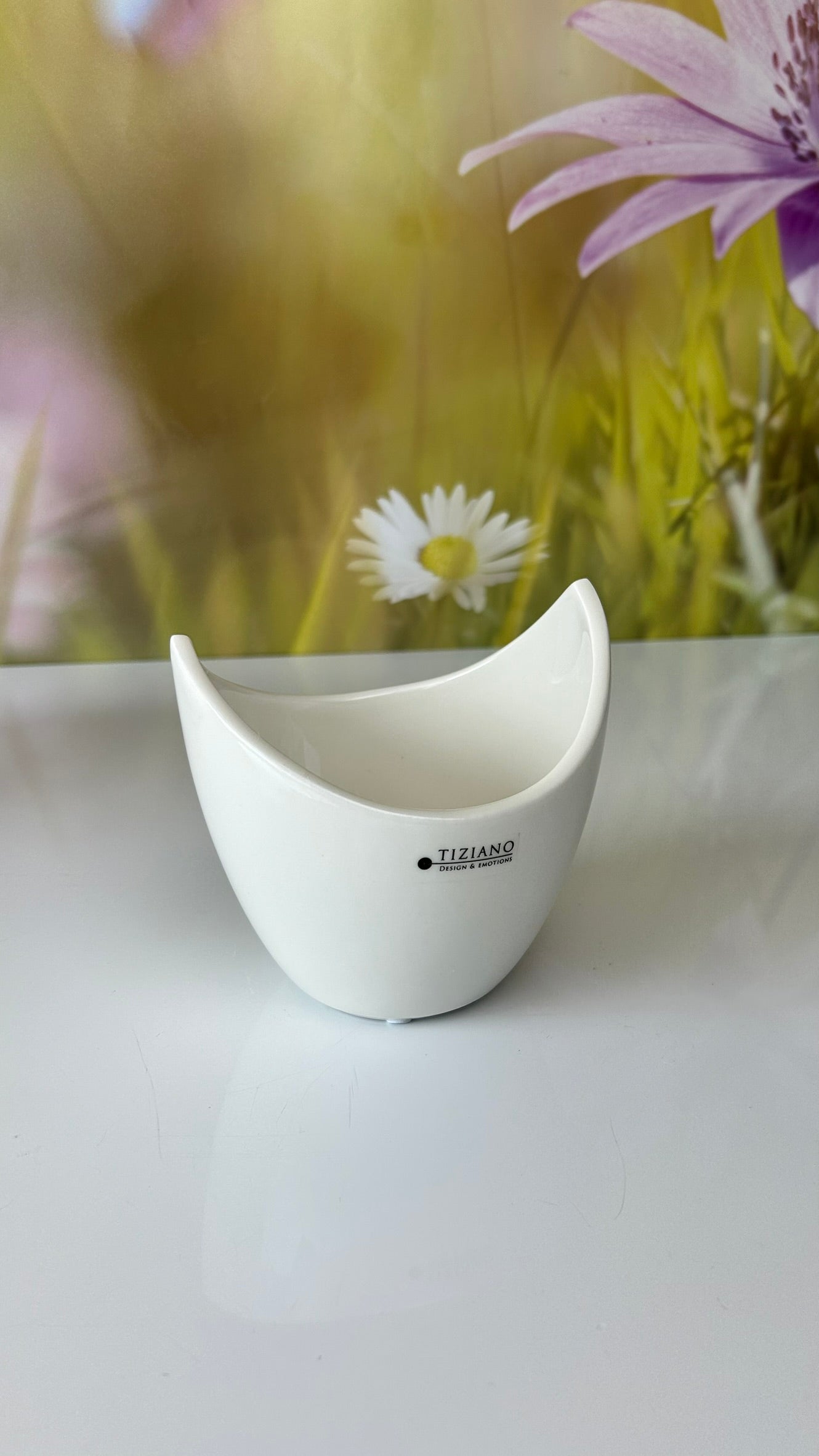 Schale Arco creme-weiß