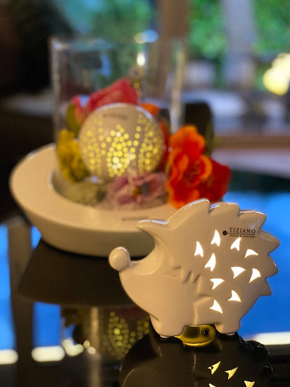 Igel_Salimbo_Ambiente