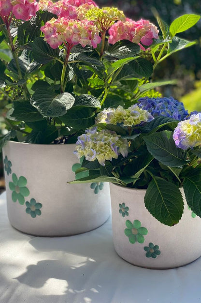 Kübel Villa rustik mit grünen Blumen große Größen
