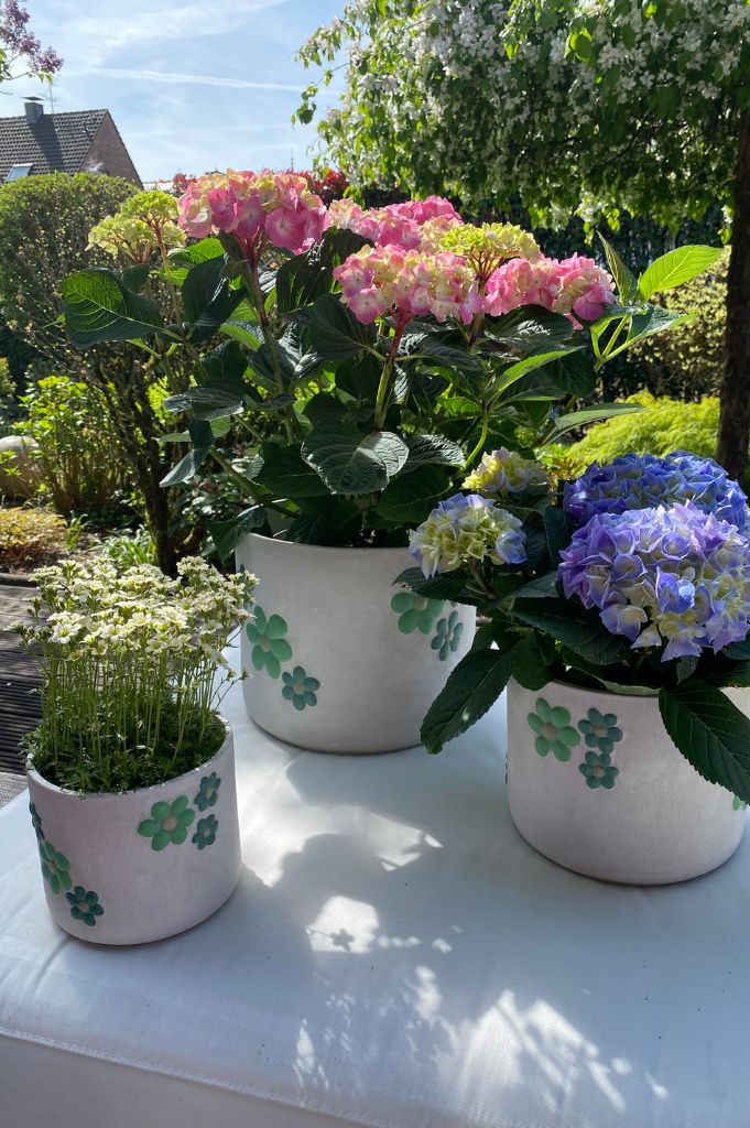 Kübel Villa rustik mit grünen Blumen große Größen