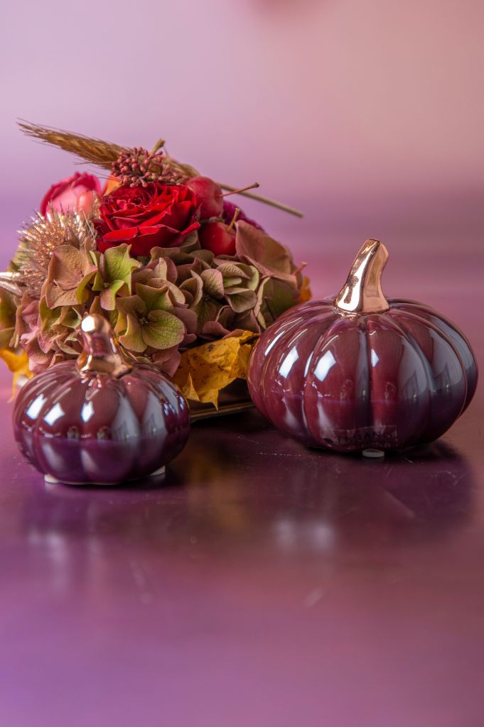 Kürbis Boglia red plum 2 Größen