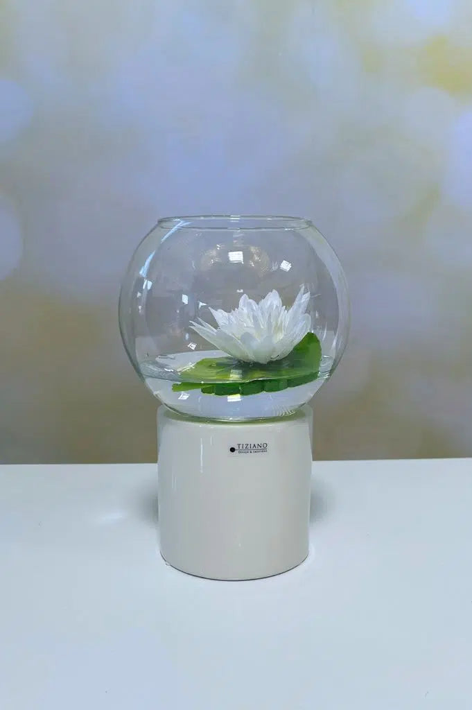Dekoset Windlicht Narvik LED mit Vase Ovaro und Seerose