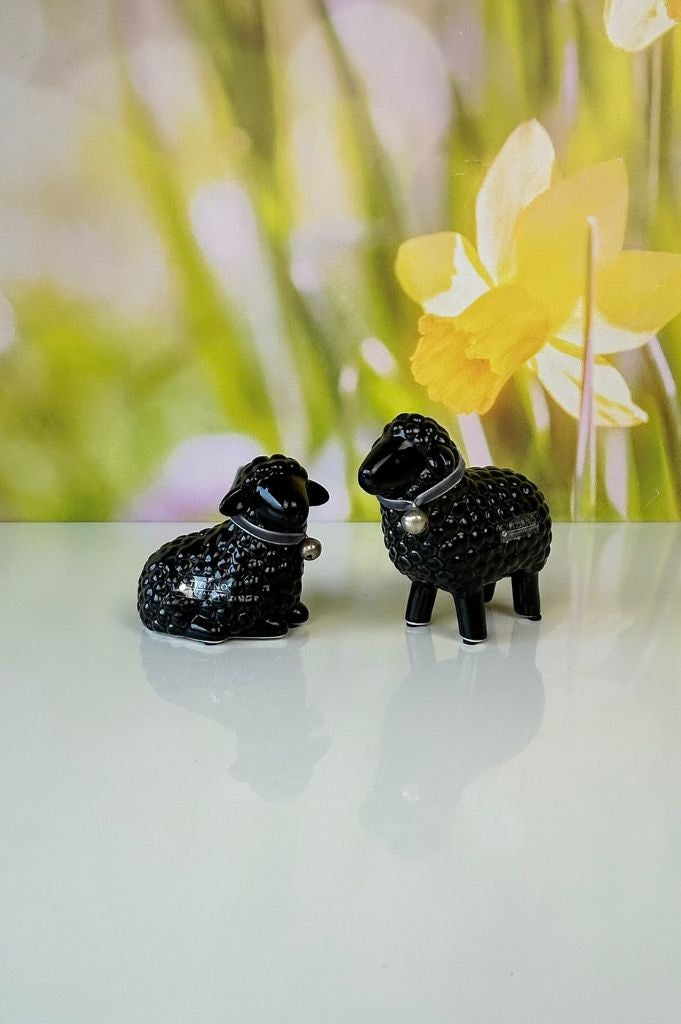 Schaf Lana stehend & liegend schwarz