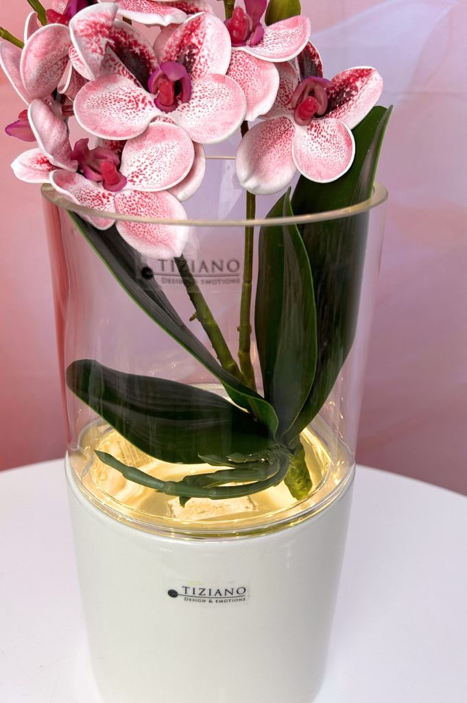 Dekoset Windlicht Laterna mit Orchidee pink