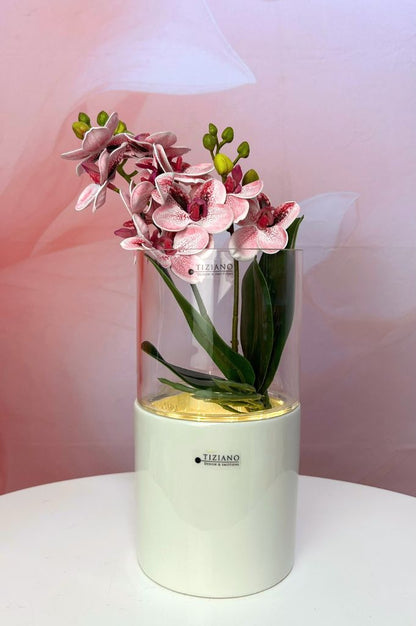 Dekoset Windlicht Laterna mit Orchidee pink