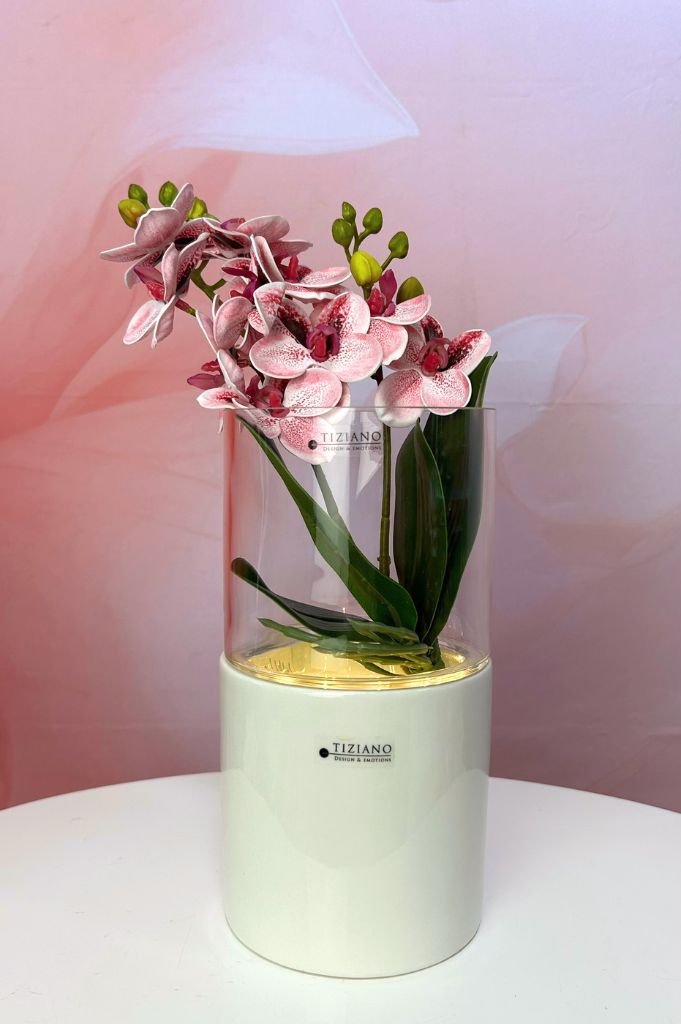 Dekoset Windlicht Laterna mit Orchidee pink