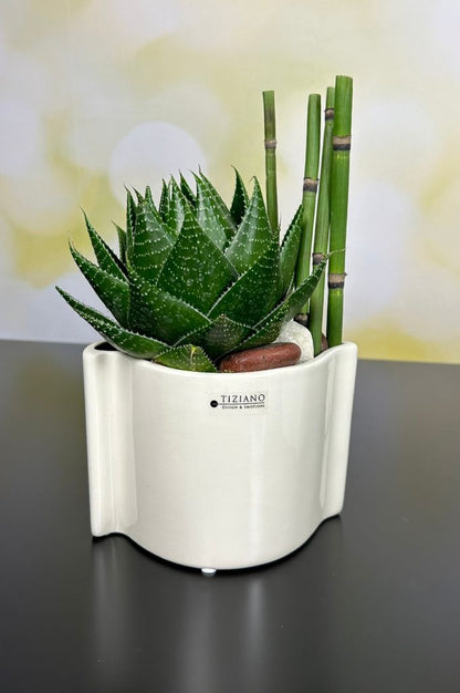 Kübel Locana creme-weiß