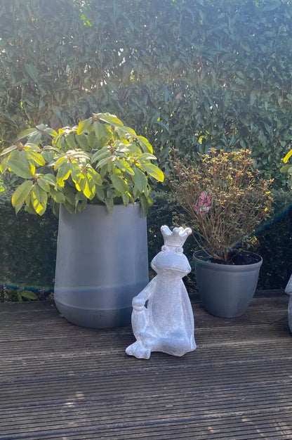 Dekofigur Frosch Luis sitzend grau mit silber Krone