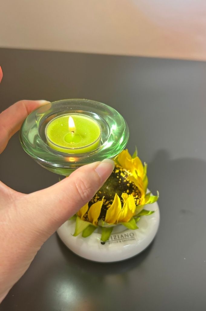 Dekoset Licht Lumina mit Glas Trixy grün-klar