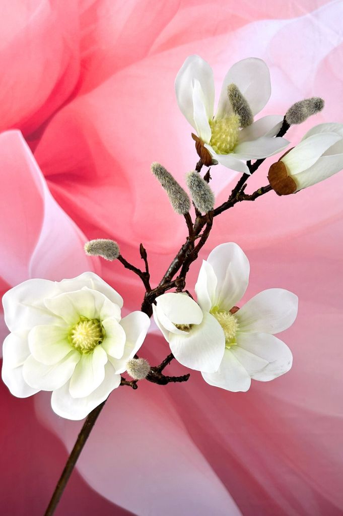 Magnolienzweig 88cm weiß