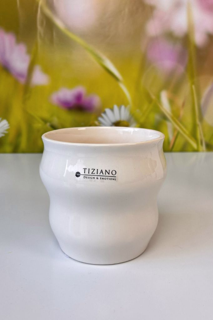 Orchideen Blumentopf Miseri 13cm weiß-creme