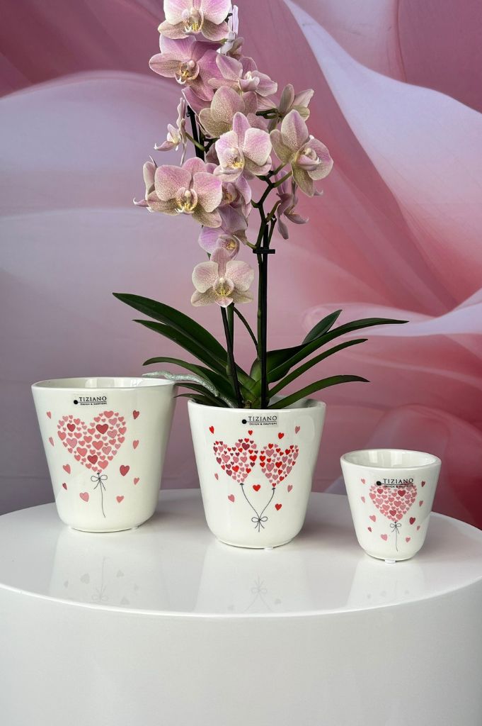 Kübel Navelli creme-weiß mit Herzen