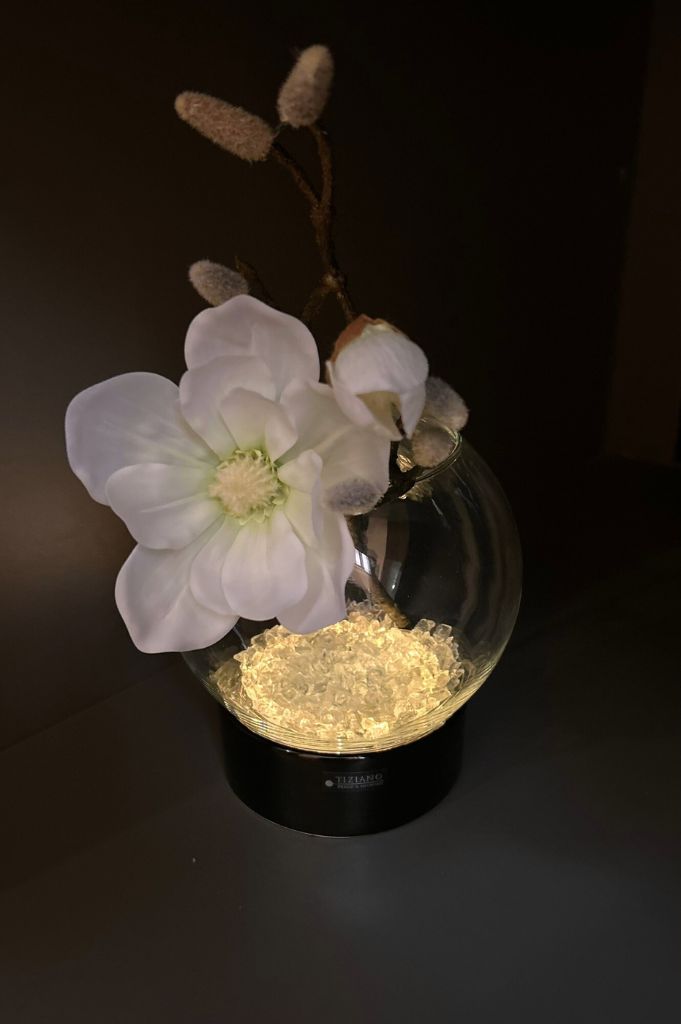 Windlicht Ovaro LED 22cm schwarz mit Klarglas