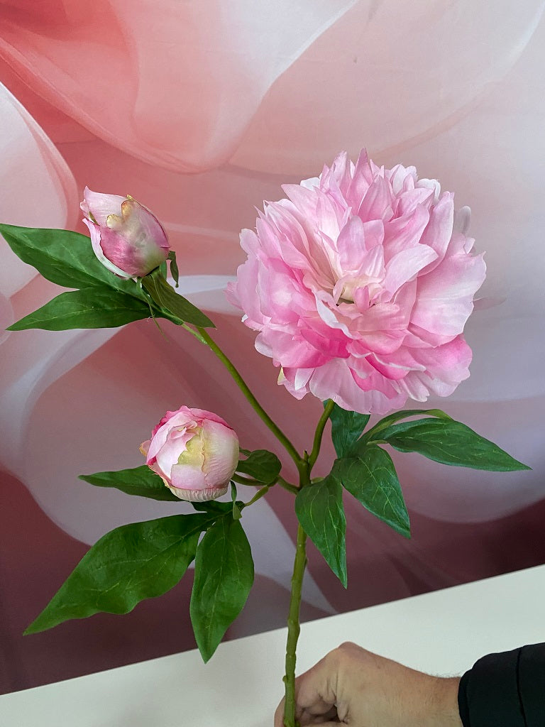 Deko Pfingstrose 65cm farbig