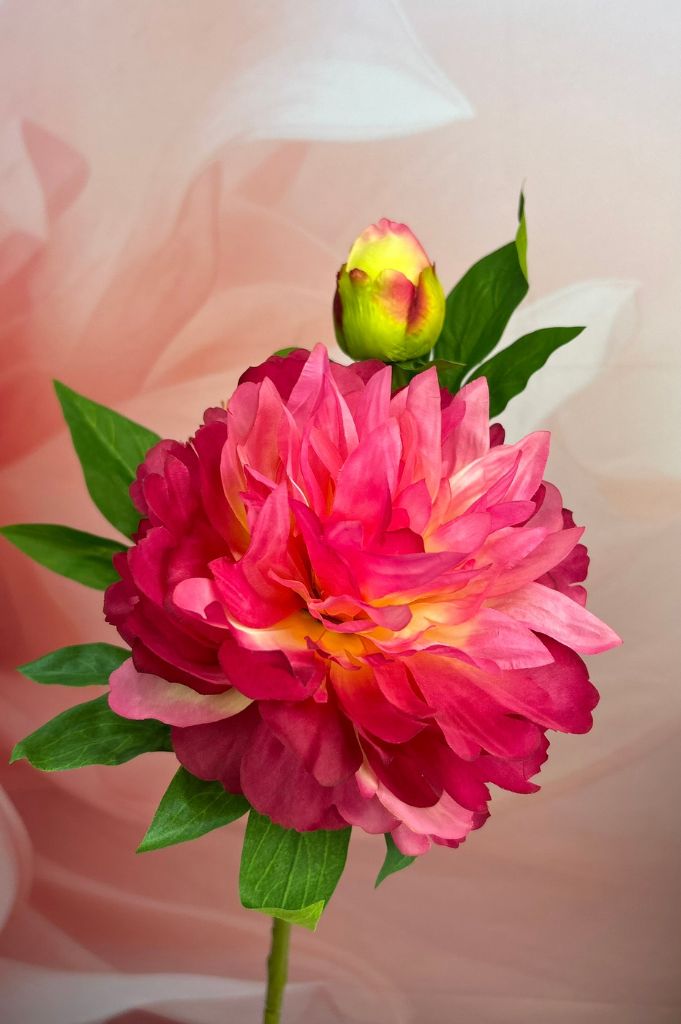 Deko Pfingstrose 65cm farbig