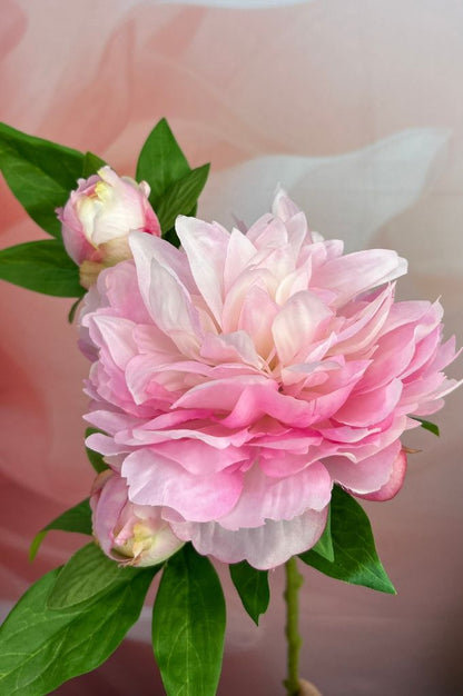 Deko Pfingstrose 65cm farbig