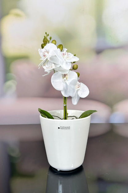 Kübel Piana creme-weiß