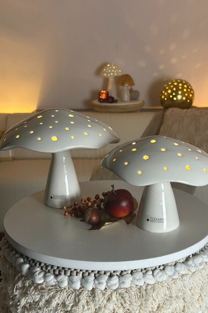 Pilz Niara LED 2 Größen