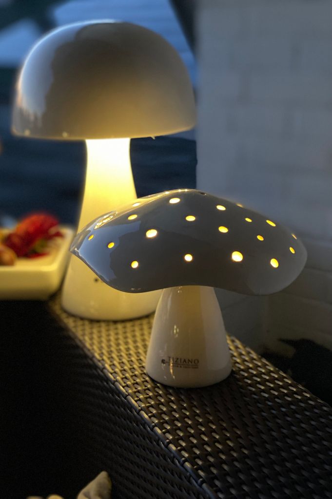 Pilz Niara LED breit