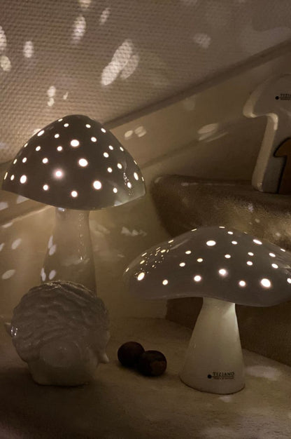 Pilz Niara LED