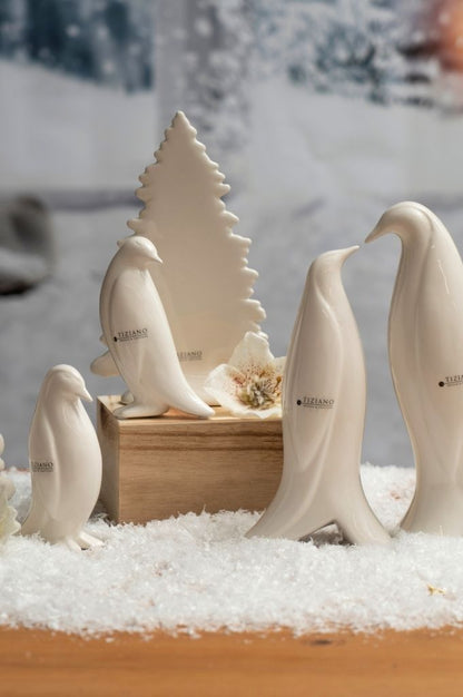 Pinguin Tizio Kollektion