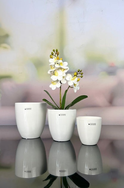 Kübel Primagera creme-weiß