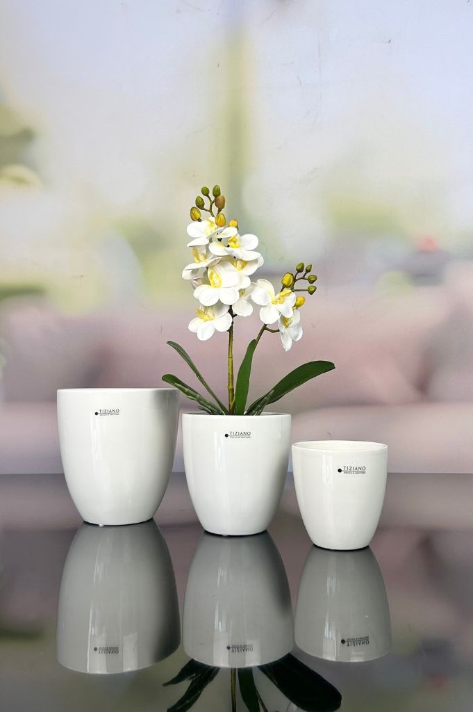 Kübel Primagera creme-weiß