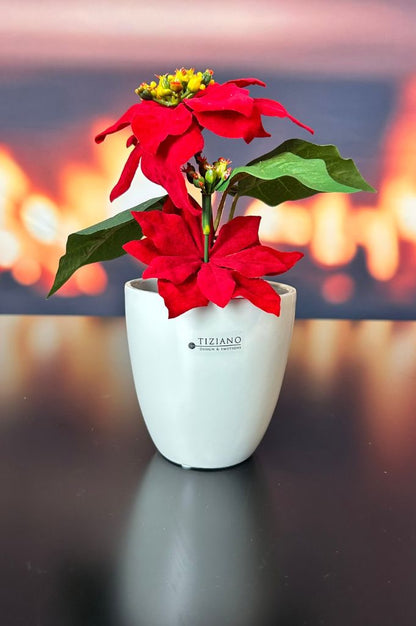 Kübel Primagera creme-weiß