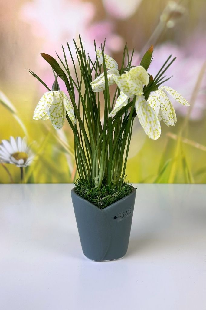 Minikübel Romina 7cm Prato